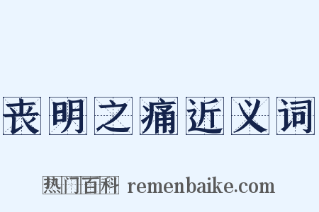 丧明之痛近义词是什么意思的图片